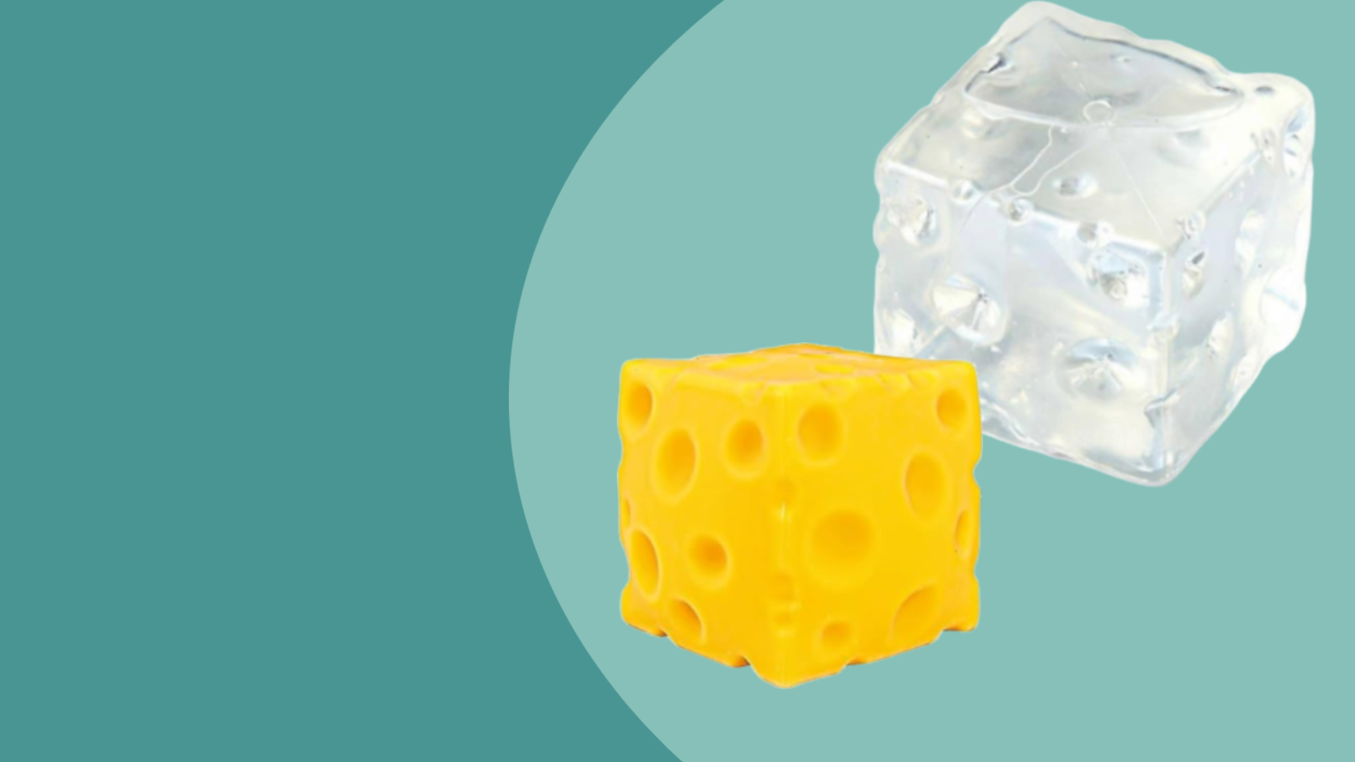 Käse Squishy